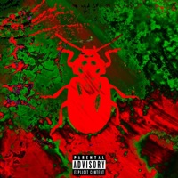 Beetle - Single - Bandanna$aint