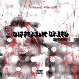 Different Breed (feat. Kid Led & ADHD) Jake Hollywood