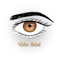 Color Miel (feat. Suizo) - Leazzy lyrics