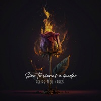 Si No te Vienes a Quedar - Single - Felipe Molinares