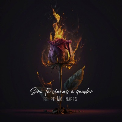 Si No te Vienes a Quedar - Single