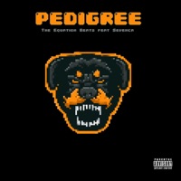 Pedigree (feat. Sevenca) - Single - The Equation Beats