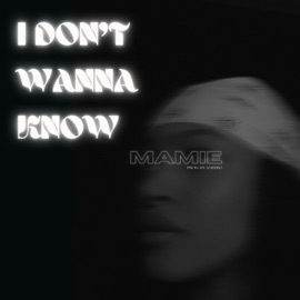 Idontwannaknow Mamie & AMEIRO