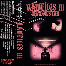 For The 95' SHADOWSTAR