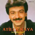 Sevda Gözlüm