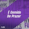 É Gemido de Prazer (feat. MC Renatinho Falcão) - Single