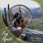 All I Want (Acoustic Cover) artwork
