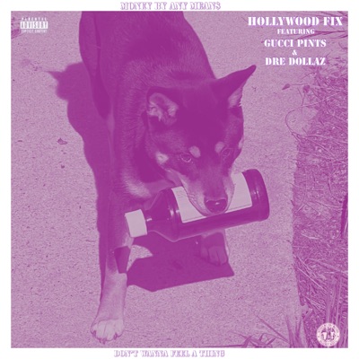 Don't Wanna Feel a Thing (feat. Gucci Pints & Dre Dollaz) - Single