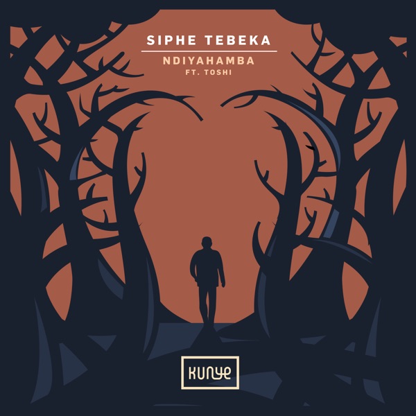 Ndiyahamba (feat. Toshi) - Single
