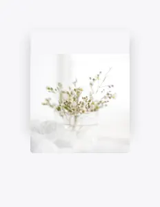 夏小桃を聴いたり、ミュージックビデオを鑑賞したり、経歴やツアー日程などを確認したりしましょう！