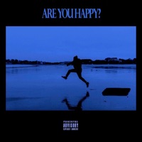 Are You Happy? - Marvelous Stefan