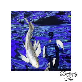 Butterfly Koi DYAH Goldie