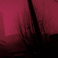 Simon (feat. Seito & Mono) - Single - Conor