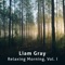 Sleepy Mountains & Relaxing Morning - Liam Gray lyrics