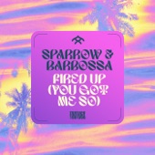 Fired Up (You Got Me So) artwork