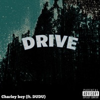 Drive (feat. DUDU) - Single - Trash Boyy