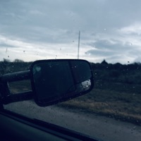 Whitefly (II) - EP - Distress