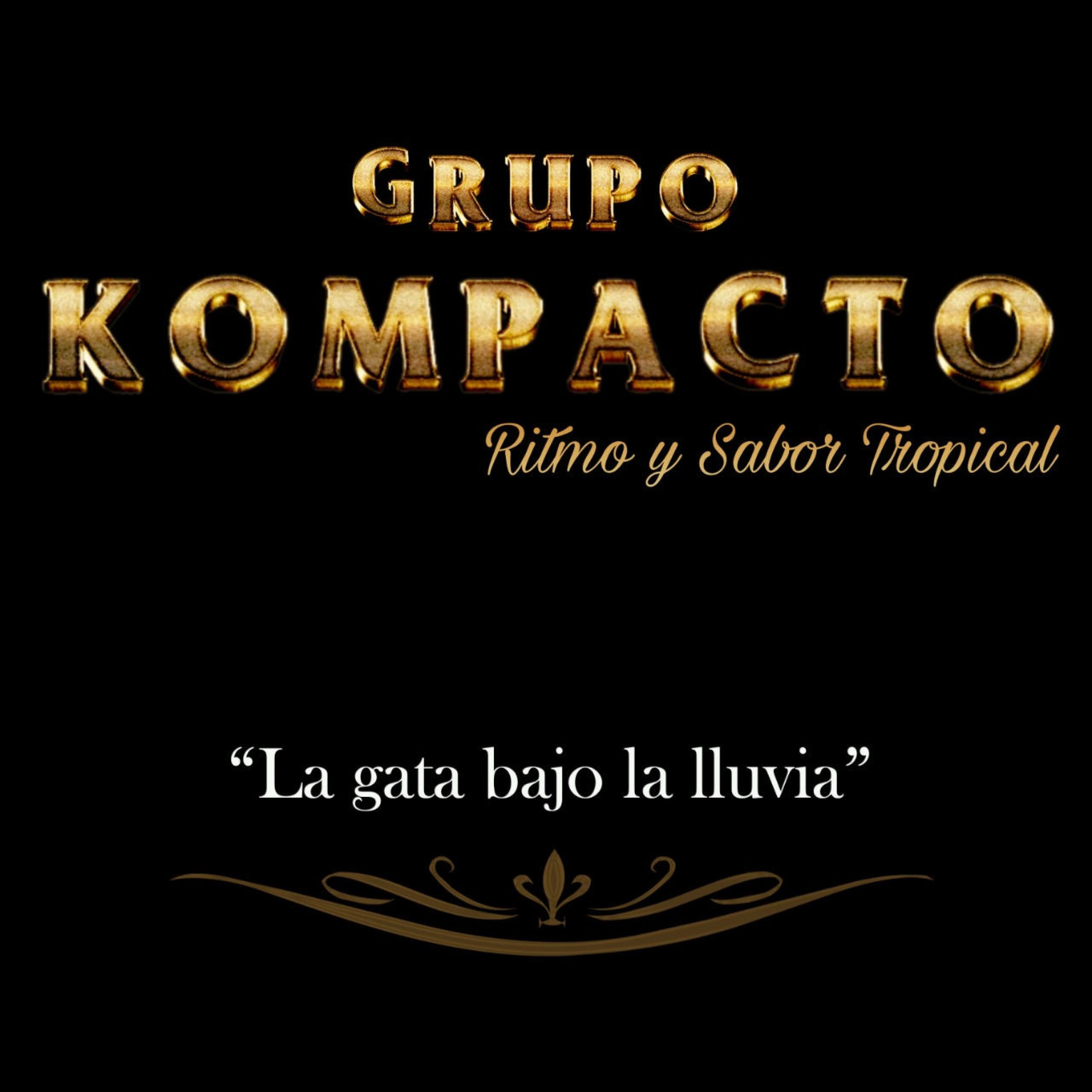 La Gata Bajo La Lluvia - Single