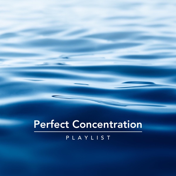 Perfect Concentration Playlist - Multi-interprètes