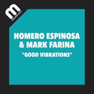 Good Vibrations - Single