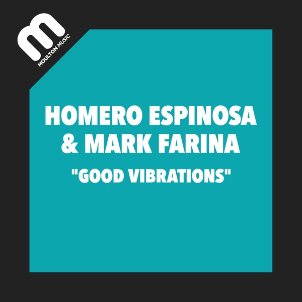 Good Vibrations - Single