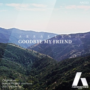 Goodbye My Friend - Single
