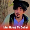 I Am Going To Dubai - Single