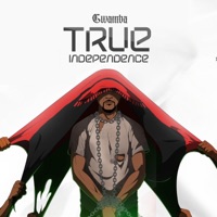 True Independence - Gwamba