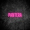 Pantera - Dj Seba lyrics