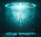 The Paradise of Lies - Virtual Symmetry lyrics