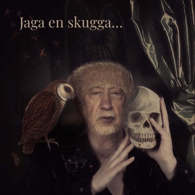 Jaga en skugga och hon flyr dig (feat. Gregor Hendler) - Single