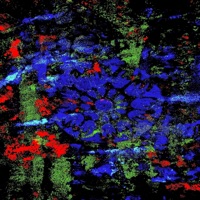 Dispatches - Single - More Milk