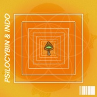Psilocybin & Indo - Single - B$tone