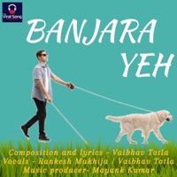 Banjara Yeh (feat. Heisenberg) - Single - Vaibhav Totla