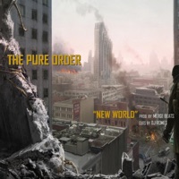 New World - Single - Pure Order