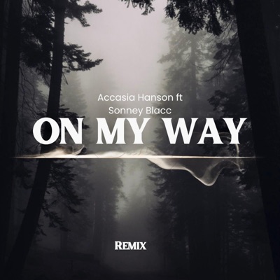 On My Way Remix (feat. Sonney Blacc) - Single
