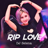 Rip Love (Remix Thailand) artwork
