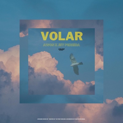 Volar (feat. Jey Pereira) - Single