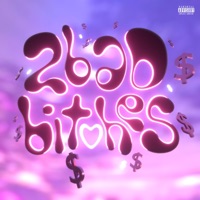 2BADBiTCHES - Single - Sticks