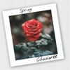 Spring - Single