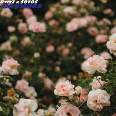 Oxymore (feat. SOTOS) - Single