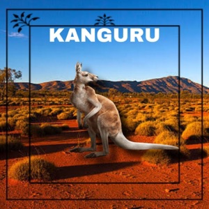 Kanguru (feat. Mc Matias)
