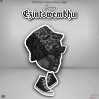 Ezintswembhu (feat. Zōrrow & Eltee Locco) [Instrumental] - Single - GrèY GalxY