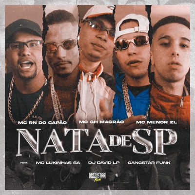 Nata de Sp (feat. DJ David LP & MC LUKINHAS SA) - Single