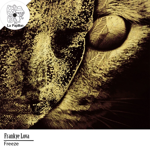 Freeze - Single