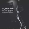 Shayad Beporsi - Single