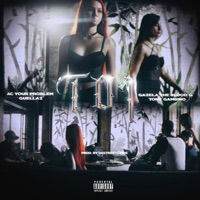 TOI (feat. Gazela the Blood G & Tony Gambino) - Single - DaStreetGenie