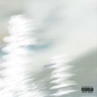 See Through Yo Facade - Single - Lapow$ki