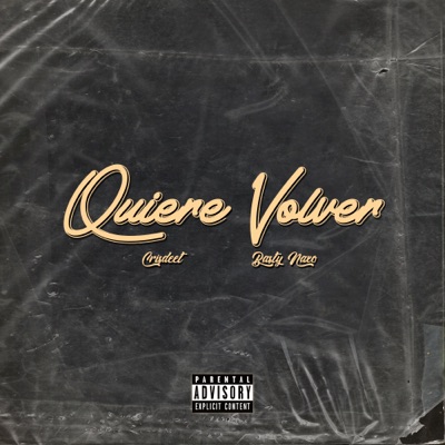 Quiere Volver (feat. Basty Naxo) - Single