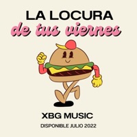 LA LOCURA DE TUS VIERNES - Alex Reid
